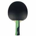 Paletă Timo Boll Smaragd